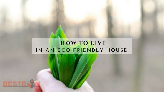 How To Live In An Eco Friendly House - BestCan Ottawa