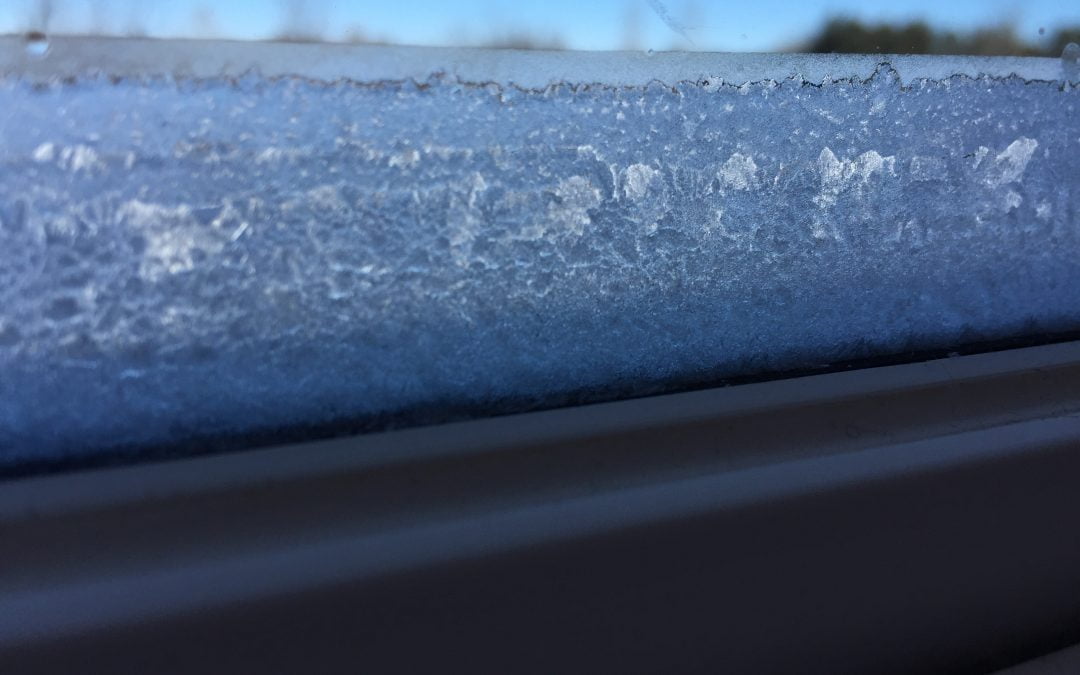 Windows with Moisture Build-Up in the Winter
